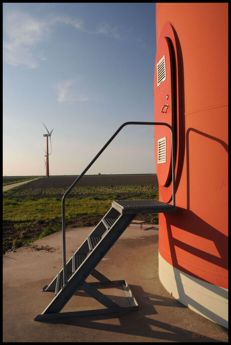 Hoge bomen vangen veel wind