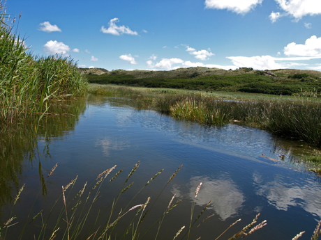 Weerspiegeling