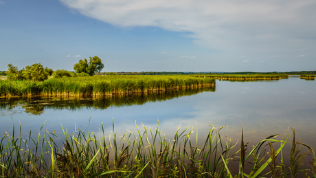 Vijvers van Przemkow