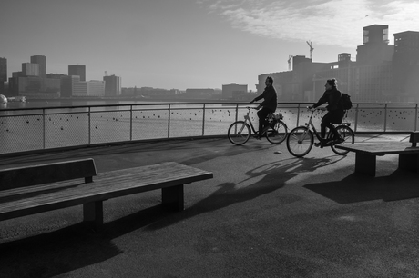 Fietsers op Rijnhavenbrug