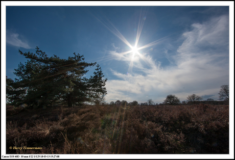 De Kampina3