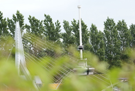 Euromast + Erasmusbrug