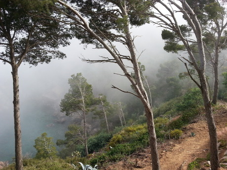 opkomende mist op Cap Roig