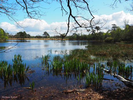 Leersumse Plas