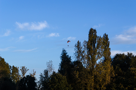 Een paraglider boven de bomen