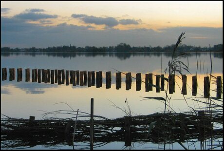 Reeuwijkse plassen