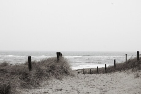 De duinen van Texel