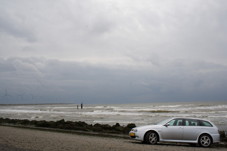 Alfa en maasvlakte