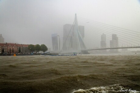 Rotterdam zicht vanaf het water tijdens een regenbui