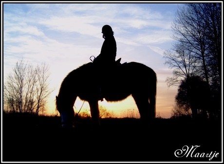 A cowboy and his horse