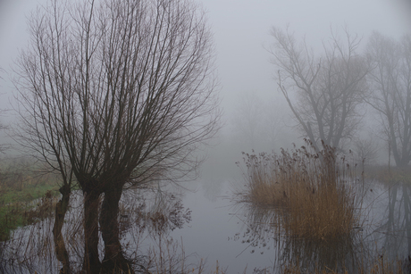 Mist bij de buitenom