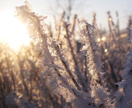 Het winter gevoel