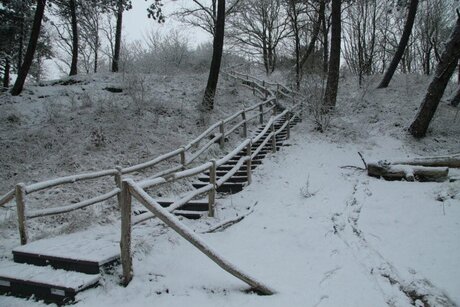 De trap van de Kruisberg in het Heemkerkerduin