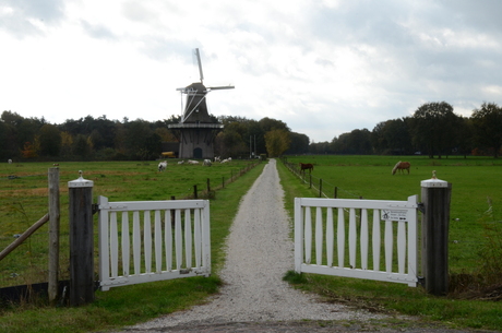 Molen de Star