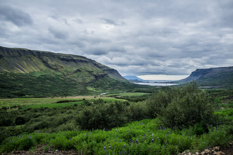 Icelandic serenity