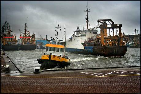 Terug in de haven