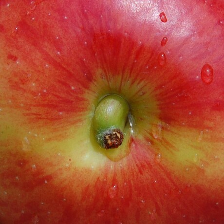 Appeltje voor de dorst