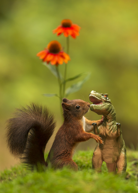 Squirrel meets Dino😃