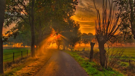 Magische ochtendgloren op een pittoresk Achterhoeks landweggetje  