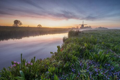 De bloemetjes buiten zetten