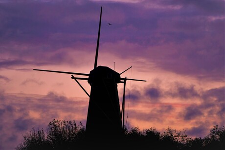 Ochtenrood bij Molen de prins van oranje