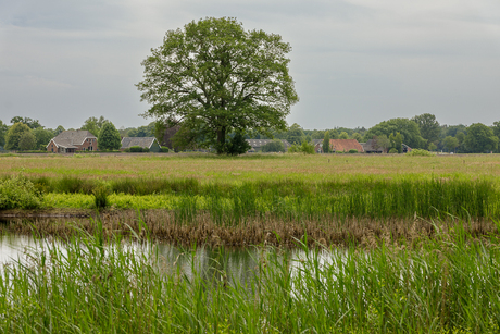 Het Brunsveld