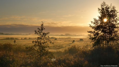 Het Friese landschap