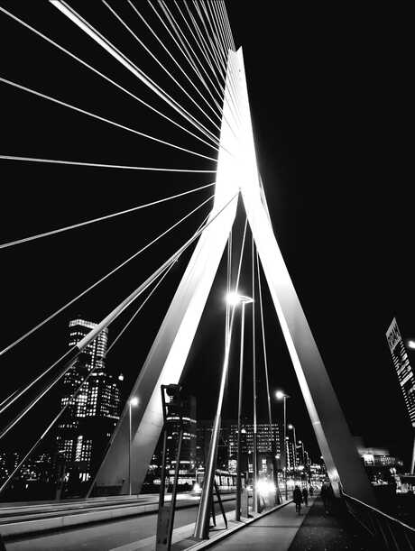 Erasmusbrug Rotterdam by Night