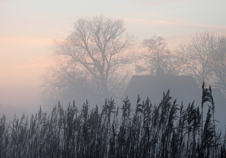 mist bij zonsondergang