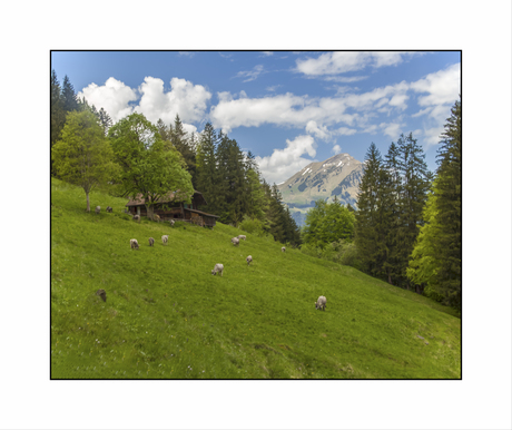 CHE-Reichenbach im Kandertal