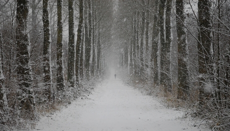 verdwijning in de sneeuw