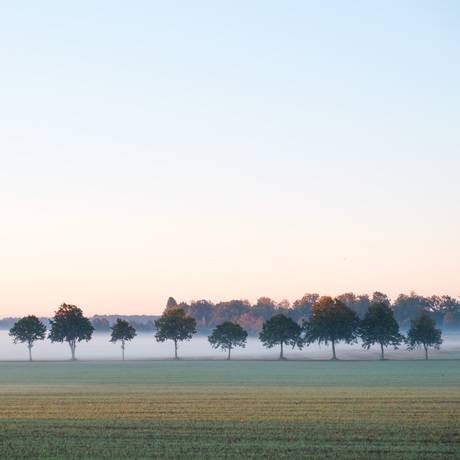 Zweden in de ochtend