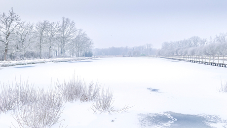 High Key Winters landschap