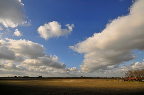 in de polder.