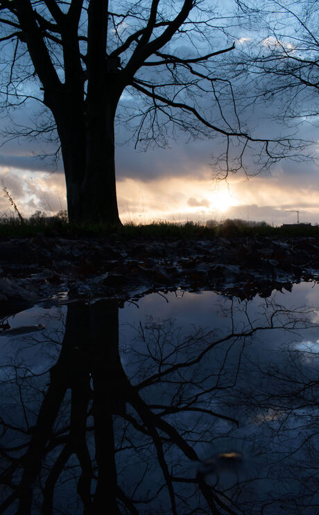 Reflectie in het water