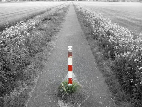 Het laatste obstakel