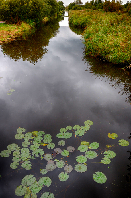 Reflectie