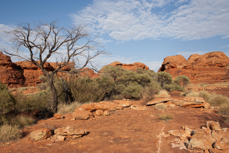 Kings canyon