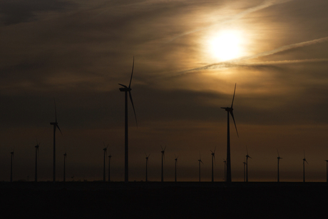 windmolenpark bij zonsondergang