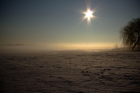 Besneeuwde, Mistige Weilanden