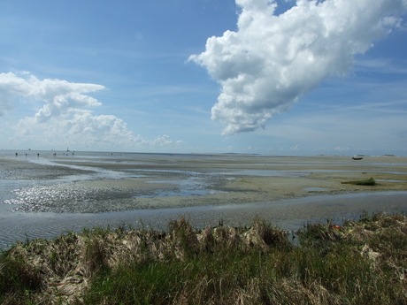 Waddenzee