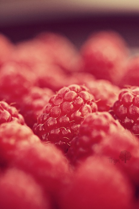 Raspberry Field