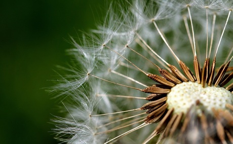 Waiting for the wind