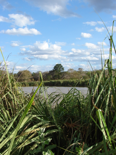 doorkijkje in kibwezi