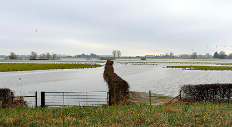 Hoog water