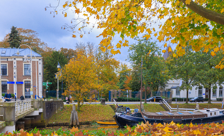herfst  in ZWOLLE
