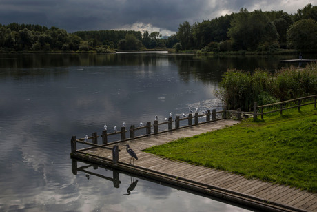 Uitzicht over de Leeghwaterplas