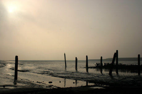 Ochtendzon op texel