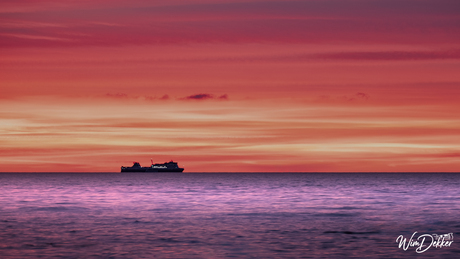 The Color of a Fading Day