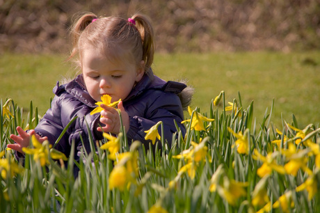 Genieten van de lente